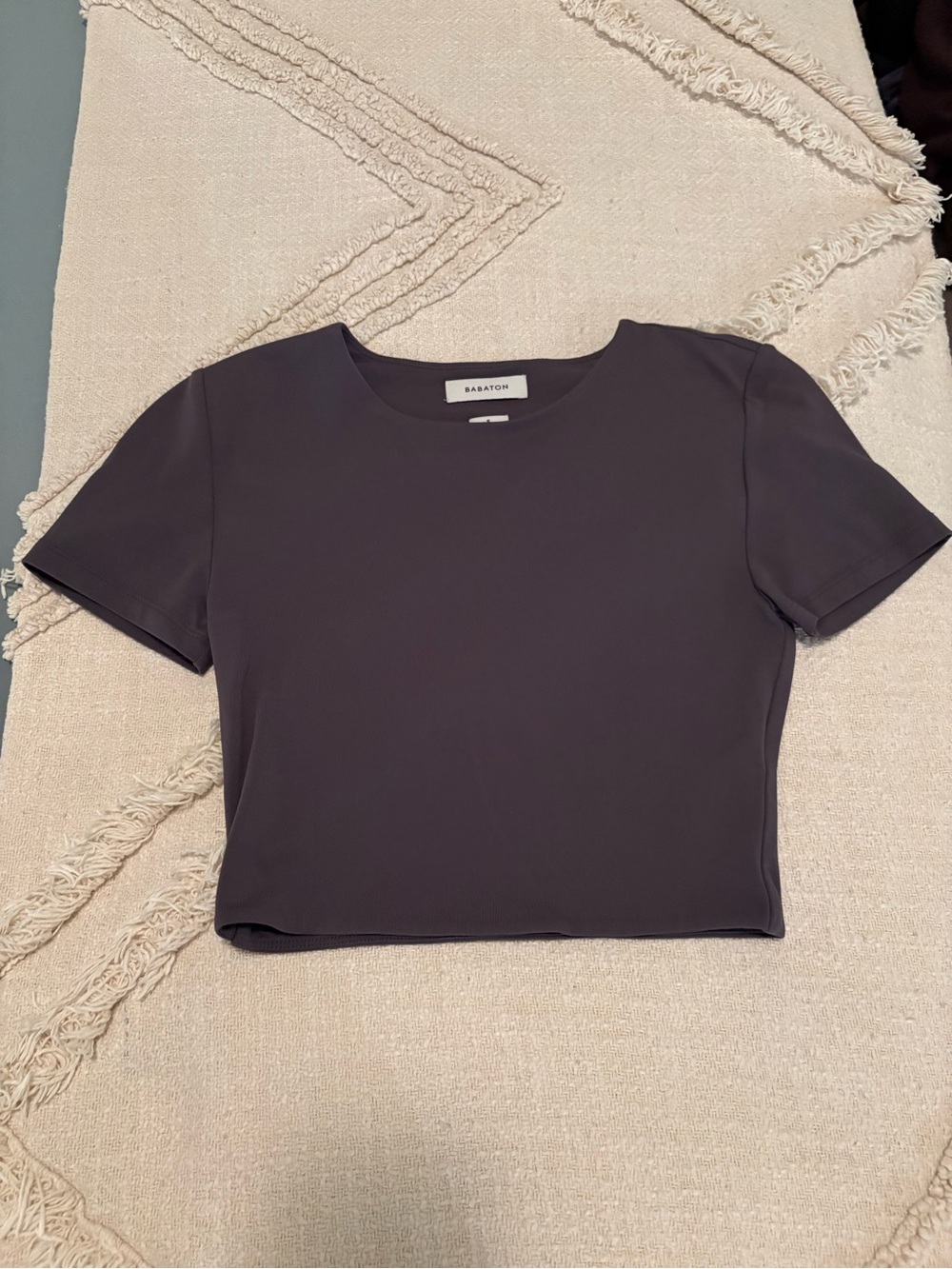 Babaton Cropped Crewneck Top - Dark Charcoal